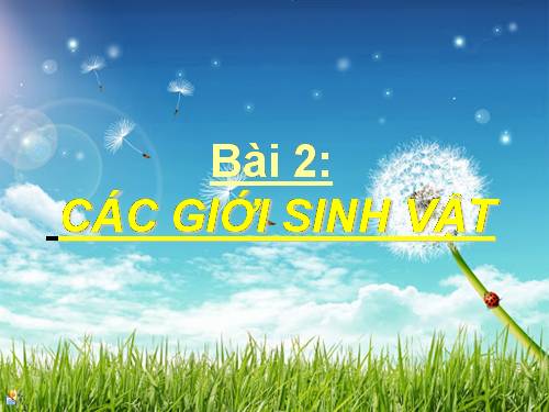 Bài 2. Các giới sinh vật