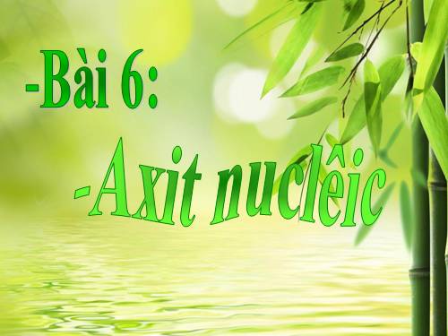 Bài 6. Axit nuclêic