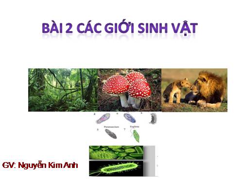 Bài 2. Các giới sinh vật