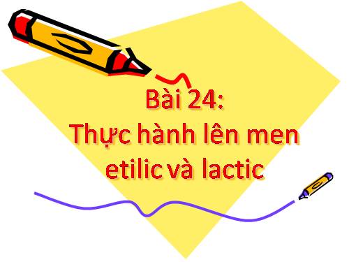 Bài 24. Thực hành: Lên men êtilic và lactic