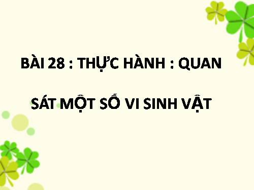 Bài 28. Thực hành: Quan sát một số vi sinh vật