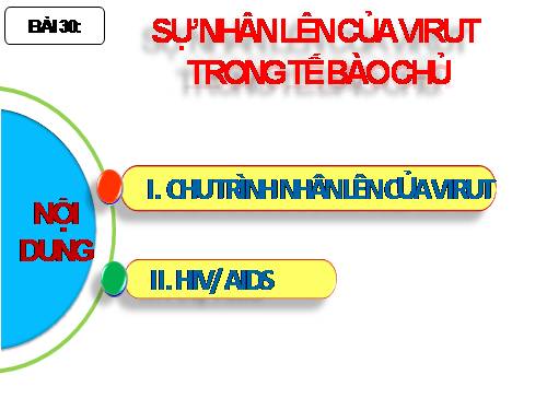 Bài 30. Sự nhân lên của virut trong tế bào chủ