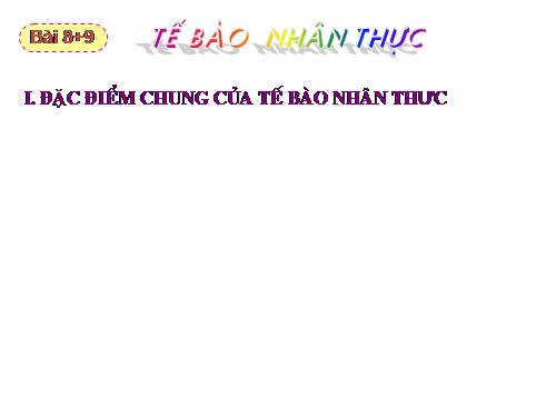 Bài 8. Tế bào nhân thực