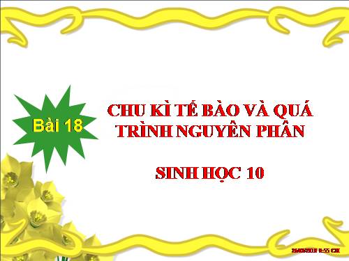 Bài 18. Chu kì tế bào và quá trình nguyên phân