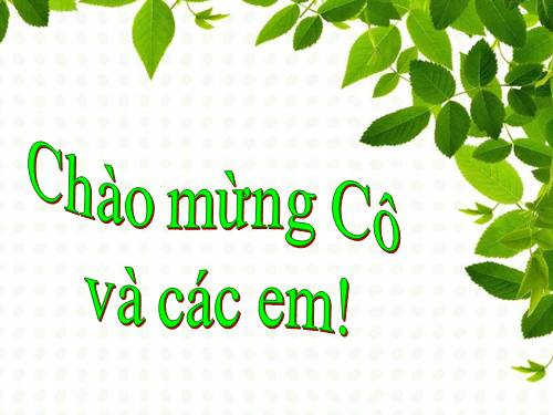 Bài 27. Các yếu tố ảnh hưởng đến sinh trưởng của vi sinh vật