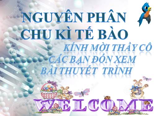 Bài 18. Chu kì tế bào và quá trình nguyên phân