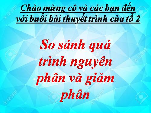 So sánh nguyên phân và giảm phân