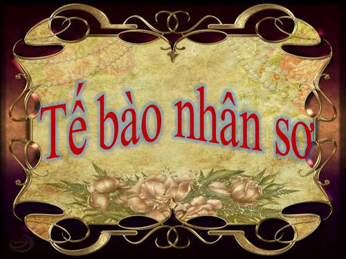 Bài 7. Tế bào nhân sơ