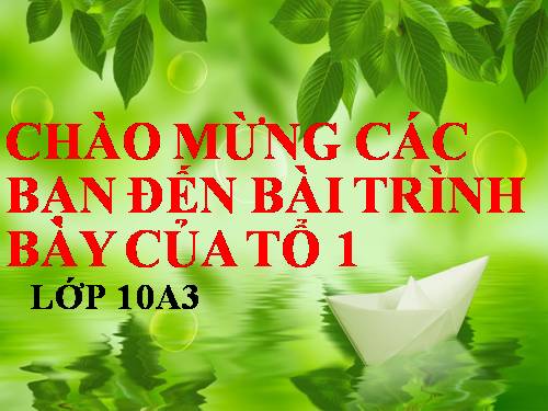 Bài 9. Tế bào nhân thực (tiếp theo)