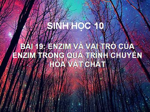 Bài 14. Enzim và vai trò của enzim trong quá trình chuyển hóa vật chất