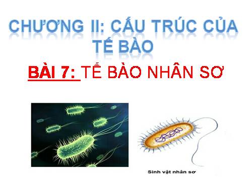 Bài 7. Tế bào nhân sơ