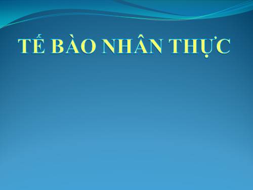 Bài 9. Tế bào nhân thực (tiếp theo)