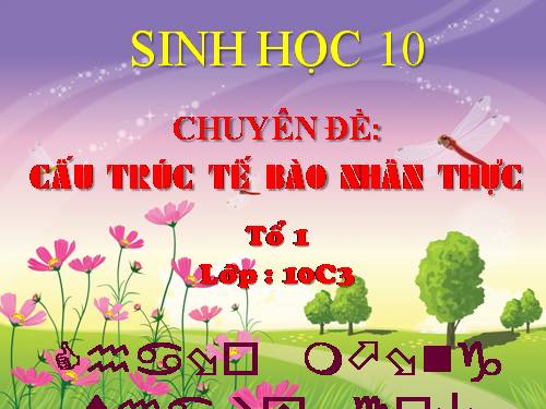 Bài 8. Tế bào nhân thực