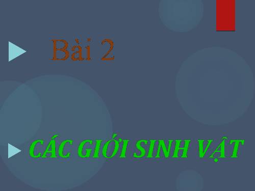 Bài 2. Các giới sinh vật