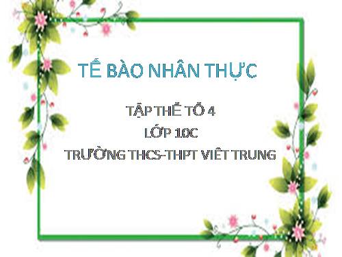 Bài 9. Tế bào nhân thực (tiếp theo)