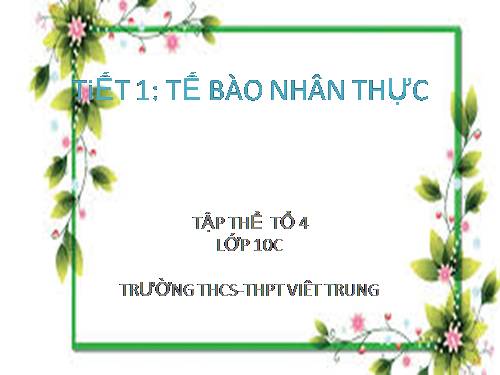 Bài 8. Tế bào nhân thực