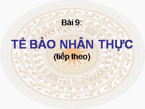 Bài 9. Tế bào nhân thực (tiếp theo)