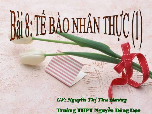 Bài 8. Tế bào nhân thực