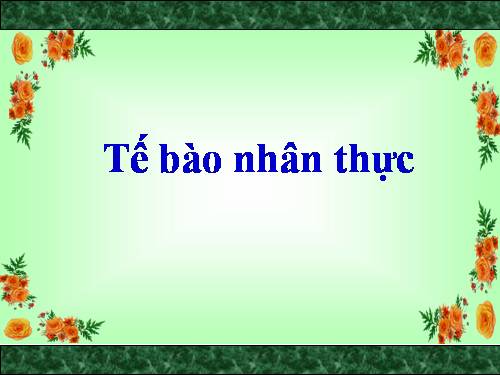 Bài 8. Tế bào nhân thực