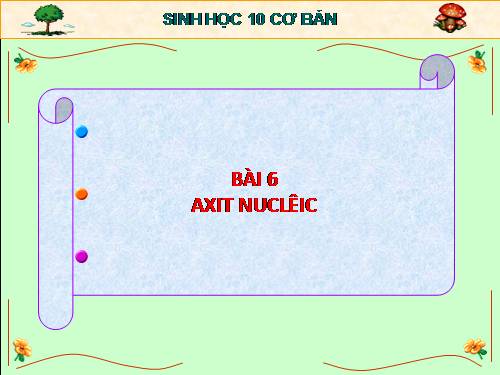 Bài 6. Axit nuclêic