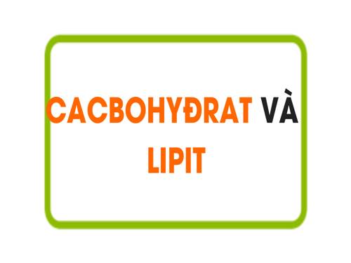 Bài 4. Cacbohiđrat và lipit