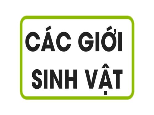 Bài 2. Các giới sinh vật