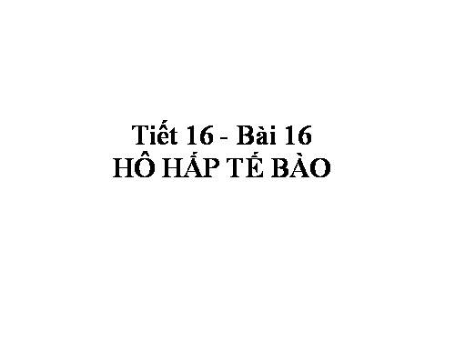 Bài 16. Hô hấp tế bào