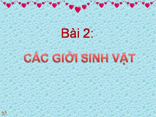 Bài 2. Các giới sinh vật