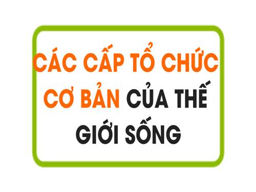 Bài 1. Các cấp tổ chức của thế giới sống