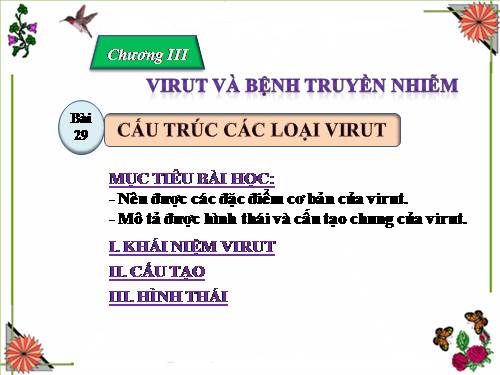 Bài 29. Cấu trúc các loại virut