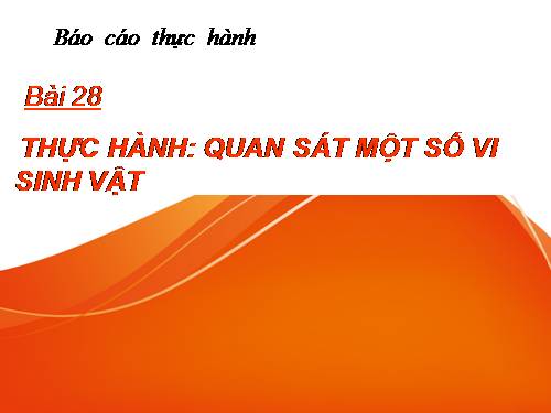 Bài 28. Thực hành: Quan sát một số vi sinh vật