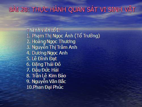 Bài 28. Thực hành: Quan sát một số vi sinh vật