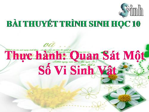 Bài 28. Thực hành: Quan sát một số vi sinh vật