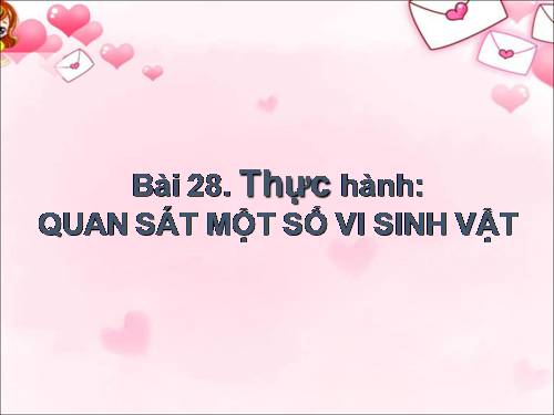 Bài 28. Thực hành: Quan sát một số vi sinh vật