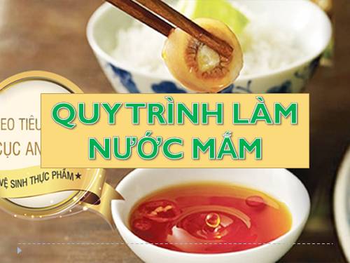 Sinh 10: Quy trình sản xuất nước mắm