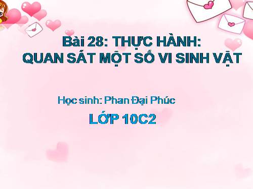 Bài 28. Thực hành: Quan sát một số vi sinh vật