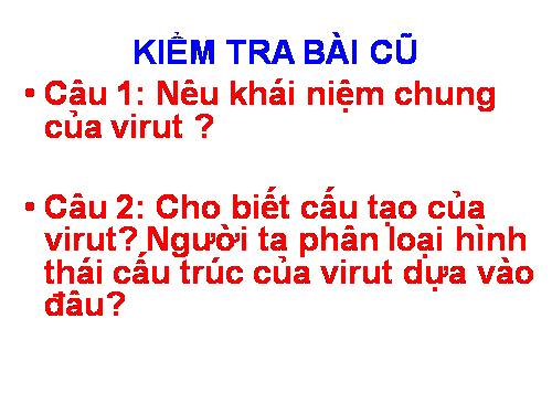 Bài 30. Sự nhân lên của virut trong tế bào chủ