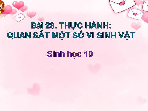 Bài 28. Thực hành: Quan sát một số vi sinh vật