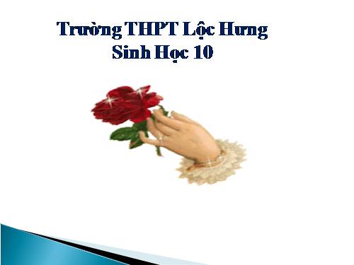 Bài 26. Sinh sản của vi sinh vật