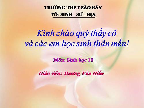 Bài 29. Cấu trúc các loại virut