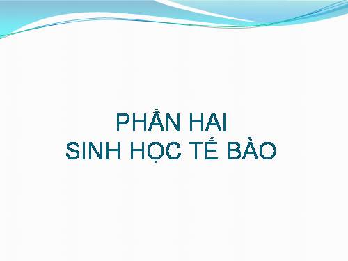 Bài 21. Ôn tập phần sinh học tế bào