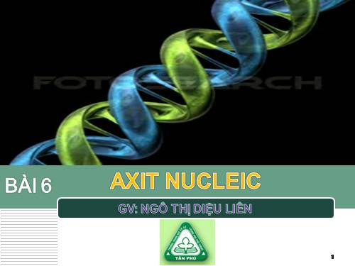 Bài 6. Axit nuclêic