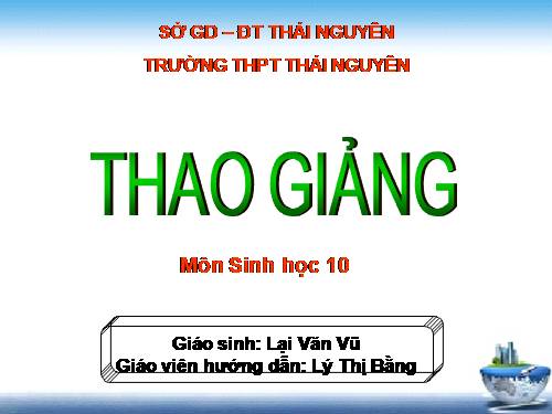 Bài 29. Cấu trúc các loại virut