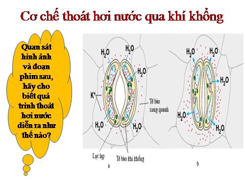 Bài 13. Khái niệm về năng lượng và chuyển hóa vật chất