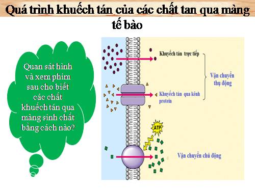 Bài 11. Vận chuyển các chất qua màng sinh chất