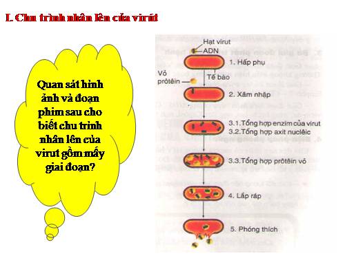 Bài 16. Hô hấp tế bào