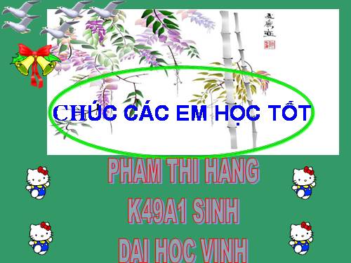 Bài 29. Cấu trúc các loại virut