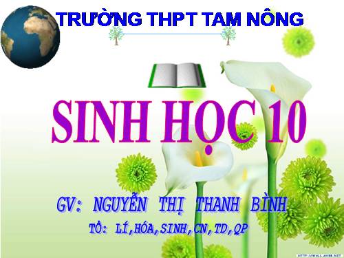 Bài 11. Vận chuyển các chất qua màng sinh chất