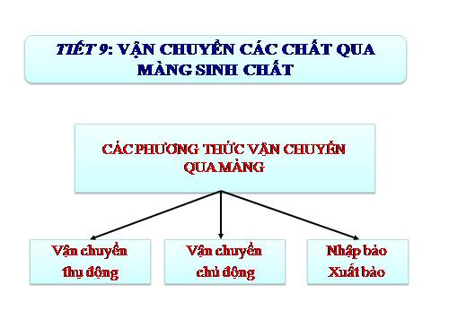 Bài 11. Vận chuyển các chất qua màng sinh chất