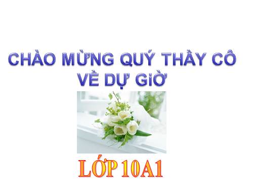 Bài 11. Vận chuyển các chất qua màng sinh chất